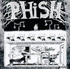 PHISH Junta album cover