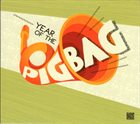 PIGBAG Year Of The Pigbag album cover