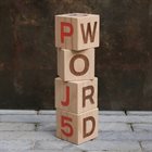 PJ5 Word album cover
