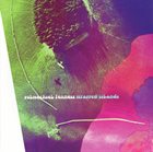 POLWECHSEL Polwechsel / Fennesz ‎: Wrapped Islands album cover