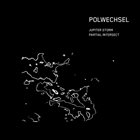 POLWECHSEL Polwechsel with Magda Mayas and John Butcher : album cover
