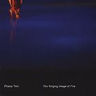 PRANA TRIO The Singing Image of Fire album cover