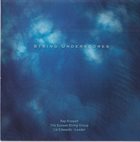 RAY RUSSELL String Underscores album cover