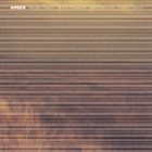 RHODRI DAVIES Amber (with Robin Hayward, Julia Eckhardt, Lucio Capece) album cover