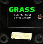 ROBERTO ZORZI Roberto Zorzi, Noël Akchoté : Grass (Guitar Duets Series) album cover