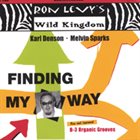 RON LEVY Finding My Way album cover