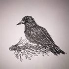 ROSS HAMMOND Mean Crow album cover