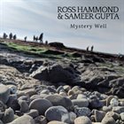 ROSS HAMMOND Ross Hammond & Sameer Gupta : Mystery Well album cover