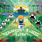 RYAN PORTER Spangle​-​Lang Lane album cover