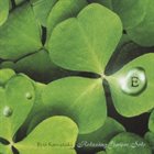 RYO KAWASAKI E: Relaxing Guitar Solo album cover