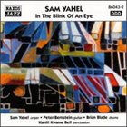 SAM YAHEL In the Blink of an Eye album cover