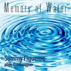SAMMY FIGUEROA Memory of Water : Sammy Figueroa plays the HangPan album cover