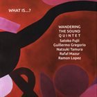 SATOKO FUJII Wandering The Sound Quintet : What Is...? album cover