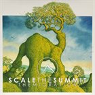 SCALE THE SUMMIT The Migration album cover