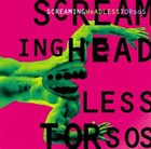 SCREAMING HEADLESS TORSOS Screaming Headless Torsos (aka 1995) album cover