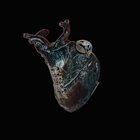 SEAMUS BLAKE Guardians Of The Heart Machine album cover