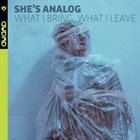 SHE'S ANALOG What I Bring, What I Leave album cover