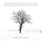 SIGURÐUR FLOSASON Sigurdur Flosason DeLux 4Tet : Here & Now album cover