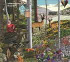 SIRIL MALMEDAL HAUGE Slowly Slowly album cover