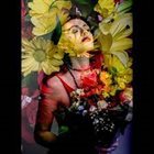 SOFIA GOODMAN Myriad of Flowers album cover