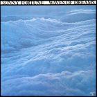 SONNY FORTUNE Waves Of Dreams album cover