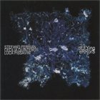 STEFANO FERRIAN Stefano Ferrian / Cecilia Quinteros / Luca Pissavini : Defying Errors album cover