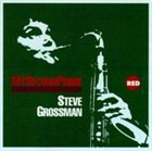 STEVE GROSSMAN My Second Prime album cover