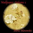 STEVE HOROWITZ Wallpaper Volume 1 (20 Years of Pure Instrumental Magic) album cover