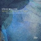 STEVE MILLION What I Meant to Say album cover