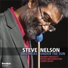 STEVE NELSON Brothers Under The Sun album cover