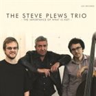 STEVE PLEWS The Steve Plews Trio : The Importance Of What Is Not album cover
