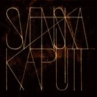 SVENSKA KAPUTT Svenska Kaputt album cover