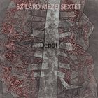 SZILÁRD MEZEI Lerakat / Depot album cover