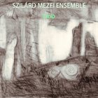 SZILÁRD MEZEI Szilard Mezei Ensemble : Dob / Drum album cover
