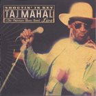 TAJ MAHAL Shoutin' In Key (Live) album cover