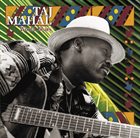 TAJ MAHAL World Blues album cover