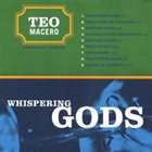TEO MACERO Whispering Gods album cover