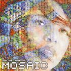 TERRI LYNE CARRINGTON The Mosaic Project album cover