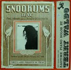 TERRY WALDO Snookums Rag album cover
