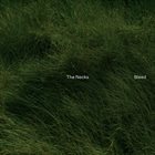 THE NECKS Bleed album cover
