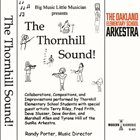 THE OAKLAND ELEMENTARY SCHOOL ARKESTRA The Thornhill Sound album cover