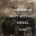 TIM BERNE Tim Berne / Matt Mitchell : Angel Dusk album cover