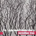 TOMASZ DĄBROWSKI 3 D - Dąbrowski , Davis , Drury  : Vermilion Tree album cover