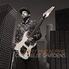 TONY MACALPINE Concrete Gardens album cover