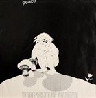 TORDENSKJOLDS SOLDATER Peace album cover