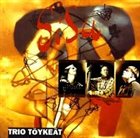 TRIO TÖYKEÄT Sisu album cover