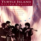 TURTLE ISLAND STRING QUARTET Skylife album cover