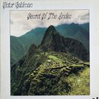 VICTOR FELDMAN Secret Of The Andes album cover