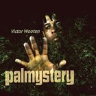 VICTOR WOOTEN Palmystery album cover