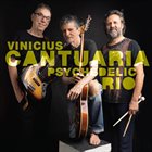 VINICIUS CANTUÁRIA Psychedelic Rio album cover